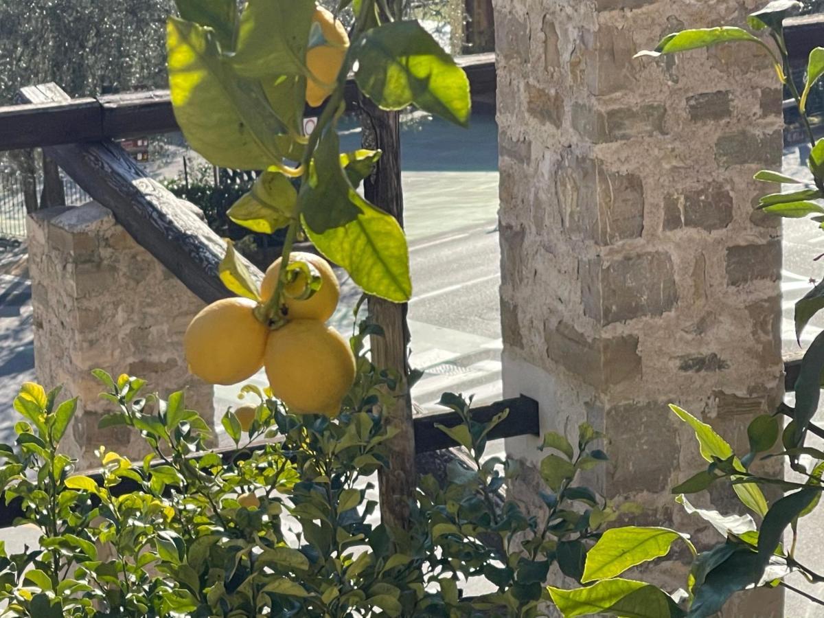 B&B Casa Limone リモーネ・スル・ガルダ エクステリア 写真
