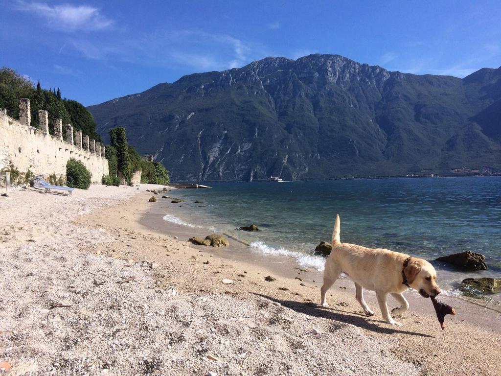 B&B Casa Limone リモーネ・スル・ガルダ エクステリア 写真